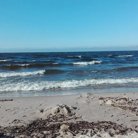 Sobie-wyspa Pod Brzozami * Gdańsk