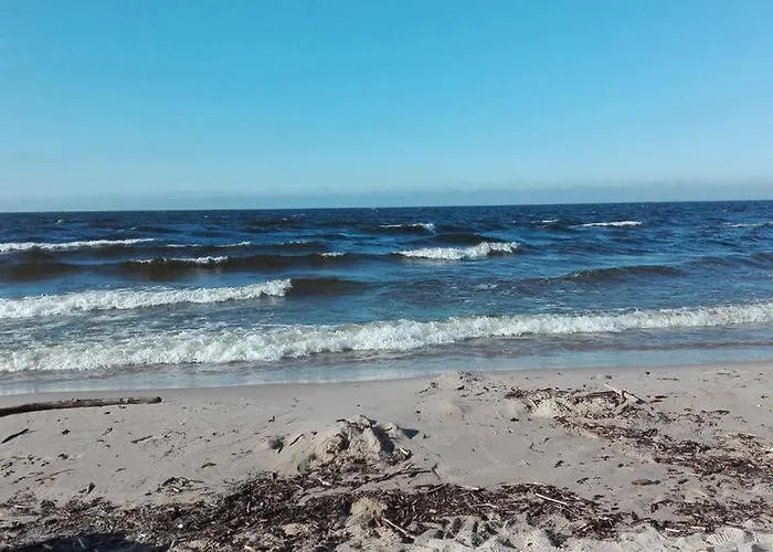 Sobie-wyspa Pod Brzozami *