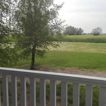 Sobie-wyspa Pod Brzozami 山林小屋 *