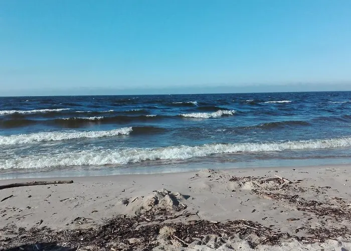 Sobie-wyspa Pod Brzozami * Gdańsk